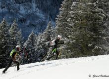 Diablerets *D