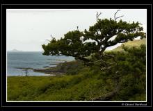 Ile d'Arran