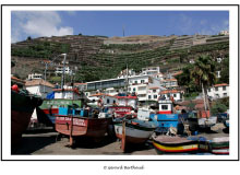 CAMARA DE LOBOS (MADERE)