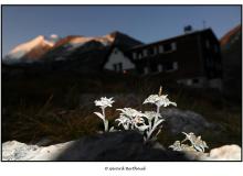 Cabane de Turtmann