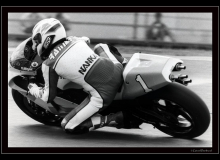 WAYNE RAINEY