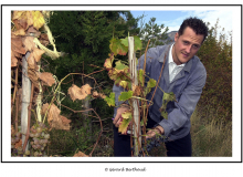 Michael SCHUMACHER vendangerant la vigne à Farinet appartenant à l'abbé Pierre