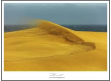 Les dunes de Maspalomas (Grande Canarie)