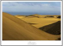 Les dunes de Maspalomas (Grande Canarie)
