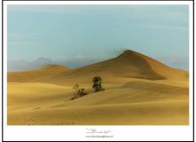 Les dunes de Maspalomas (Grande Canarie)