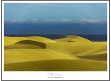 Les dunes de Maspalomas (Grande Canarie)