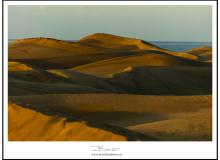 Les dunes de Maspalomas (Grande Canarie)
