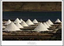 Les salines de Janubio (Lanzarote)