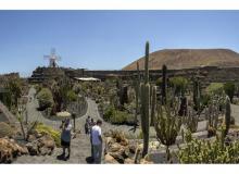 Jardin de cactus (Lanzarote)