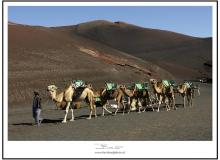 Parc des volcans de Timanfaya (Lanzarote)