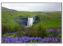 skogafoss2_0360