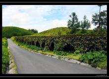 Iles de Sao Miguel (Acores)