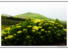 Iles de Sao Miguel (Acores)