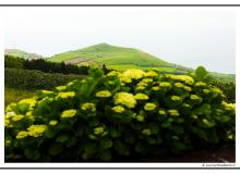 Iles de Sao Miguel (Acores)