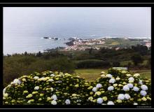 Iles de Sao Miguel (Acores)