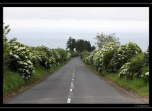 Iles de Sao Miguel (Acores)