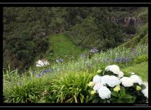 Iles de Sao Miguel (Acores)