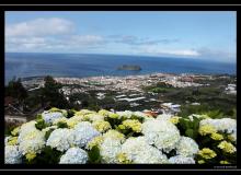 Iles de Sao Miguel (Acores)