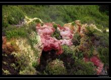 Iles de Terceira (Acores)