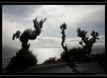 Iles de Faial (Acores)