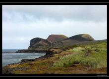 Iles de Faial (Acores)