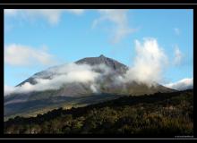 Iles de Pico (Acores)