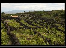 Iles de Pico (Acores)