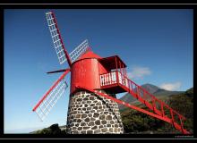 Iles de Pico (Acores)