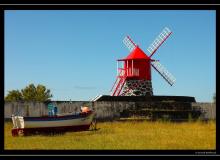 Iles de Pico (Acores)