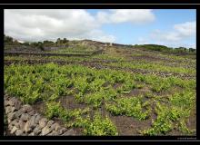 Iles de Terceira (Acores)