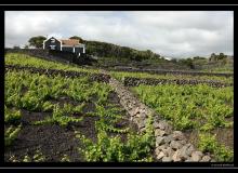 Iles de Terceira (Acores)