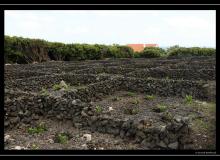 Iles de Terceira (Acores)