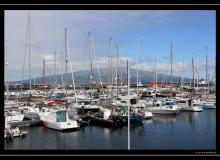 Iles de Faial (Acores)