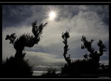 Iles de Faial (Acores)