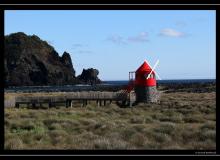 Iles de Pico (Acores)