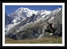 LE MONT-BLANC