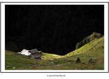 PRA GRA DANS LA REGION D'AROLLA