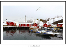 norvege_86518