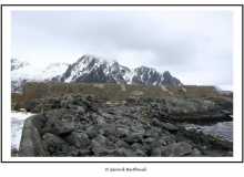 norvege_86559