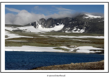 Parc National Dovrefjell