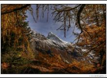 Ferpecle et la Dent Blanche