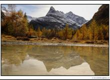 Ferpecle et le Mont Mine