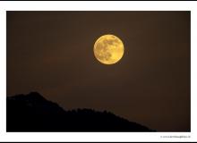 Lever de lune