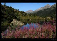 Grundsee