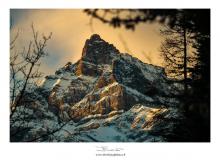 Les Dents du Midi (La Haute Cime)