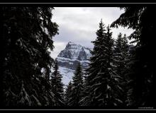 Les Dents du Midi (La Haute Cime)