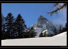 Les Dents du Midi (La Haute Cime)