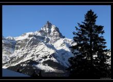 Les Dents du Midi (La Haute Cime)