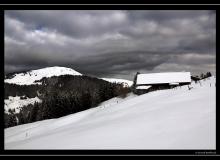 Morgins