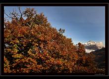 Ambiance automnale
